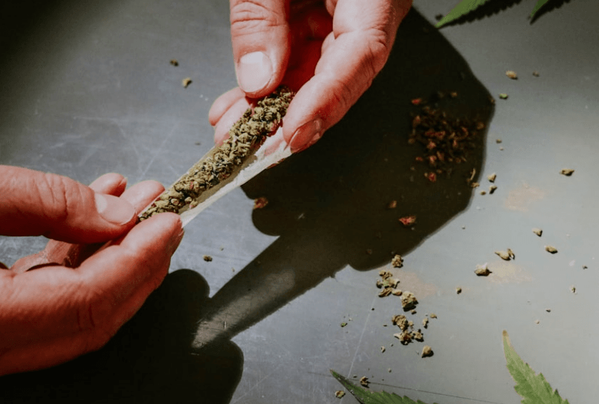 Endocannabinoid System & Benefits of Smoking CBD Weed 