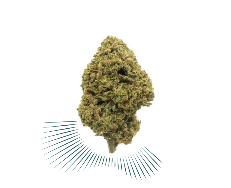 CBD Hemp Flower - Thunder Berry - Image 2